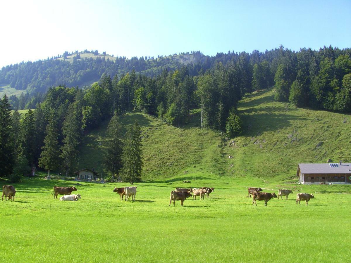 Gaestehaus Lutz Mellau Exterior photo